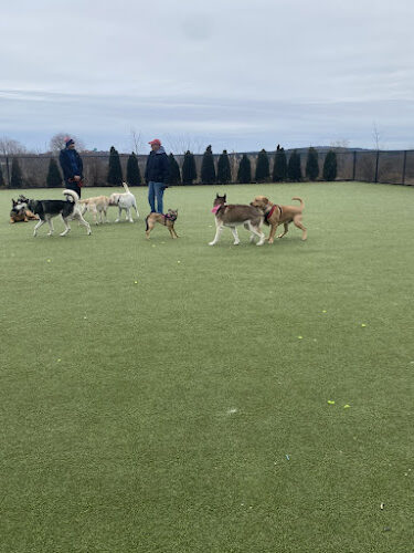 Quincy Dog Park