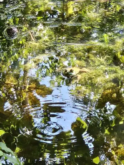 Laurel Hills Park - Raleigh, NC