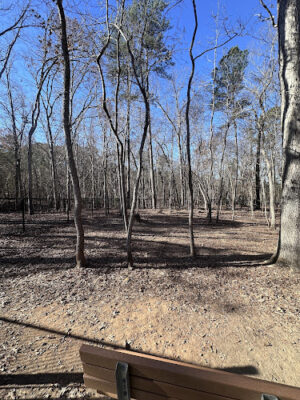 Baileywick Dog Park