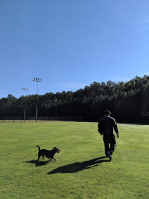 Baileywick Road Park