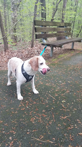 Brookhaven Nature Park