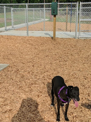 Buffaloe Road Dog Park