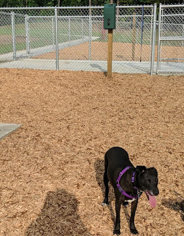 Buffaloe Road Dog Park