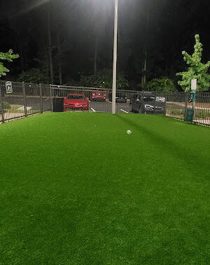 Dog Park