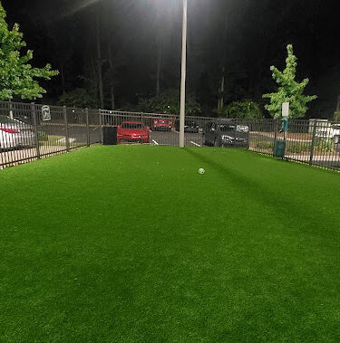 Dog Park