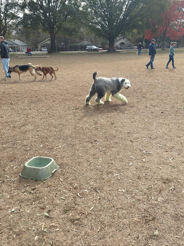 Dog Park at Dix Park