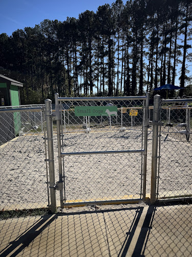 Dog Park at Dorothea Dix Park