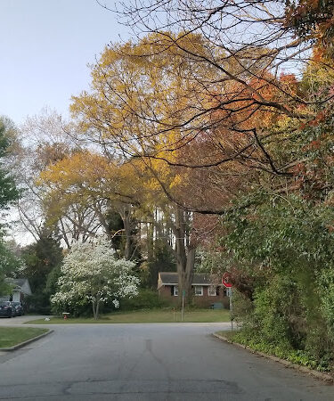 Kaplan Drive Park