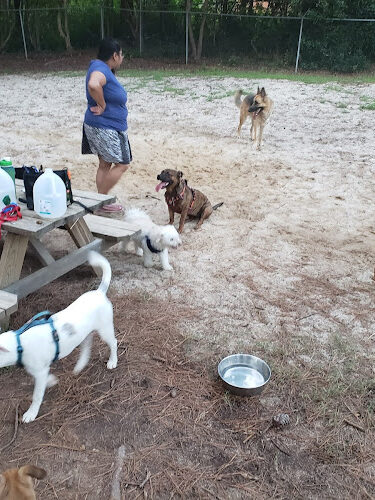 Kensington Park Dog Club