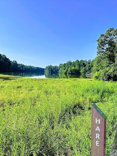 Lake Lynn Loop