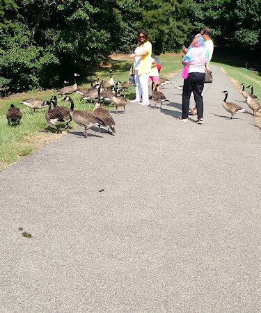 Lake Lynn Park