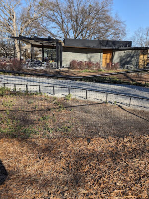 Moore Square Dog Park