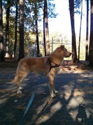 North Hills Park