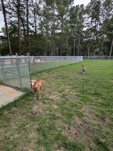 Roberts Park Dog Park