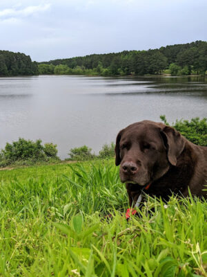 Shelley Lake Park