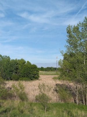 Alpine Dog Park