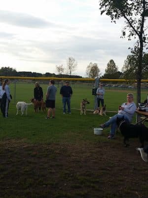 Alpine Dog Park