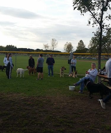 Alpine Dog Park