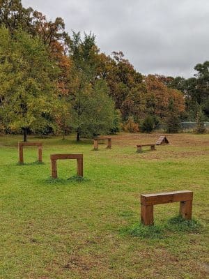 Alpine Dog Park