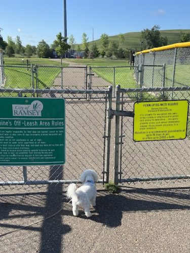 Alpine Dog Park