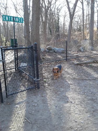 Goldstein Open Space