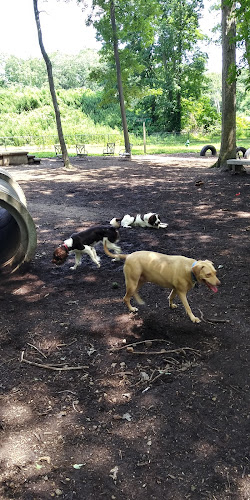 Randolph Dog Park