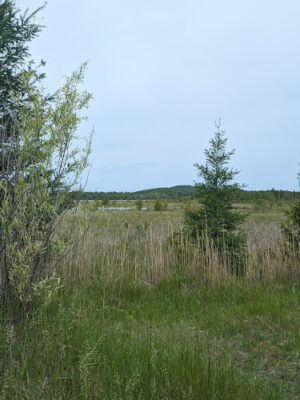 Skegemog Lake Wildlife Area North Shore Pathway Trail Head