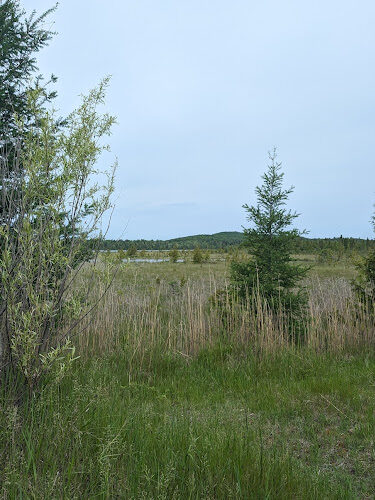 Skegemog Lake Wildlife Area North Shore Pathway Trail Head