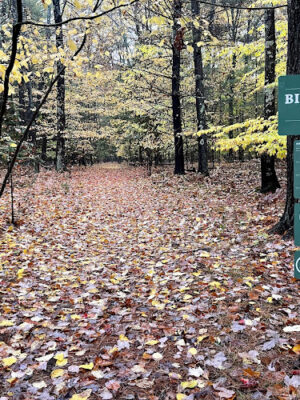 Torch River Ridge Nature Preserve