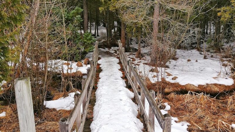 Skegemog Lake Wildlife Area North Shore Pathway Trail Head - Rapid City,