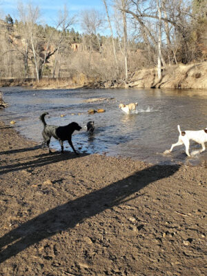 Braeburn Dog Park & Ice Rink