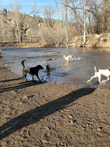Braeburn Dog Park & Ice Rink