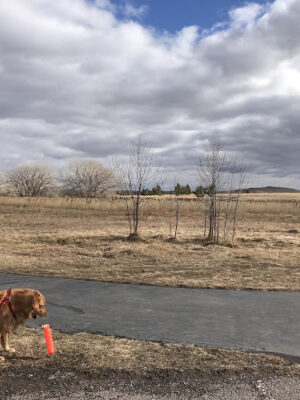 Parking for Robbinsdale Dog Park