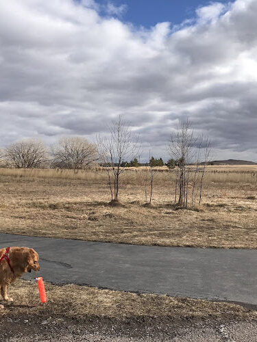 Parking for Robbinsdale Dog Park