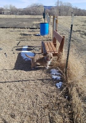 Raton dog park