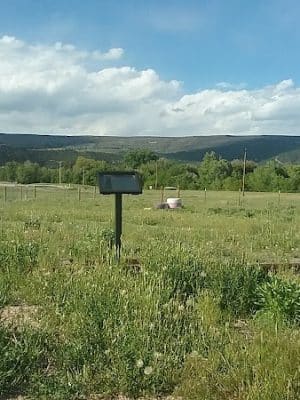 Raton dog park