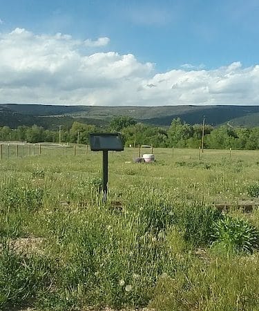 Raton dog park