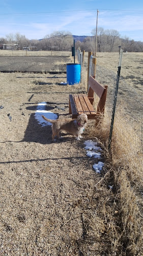 Raton dog park