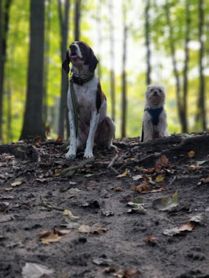 Thatcher Park