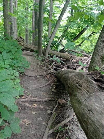 Thatcher Park - Ravenna,