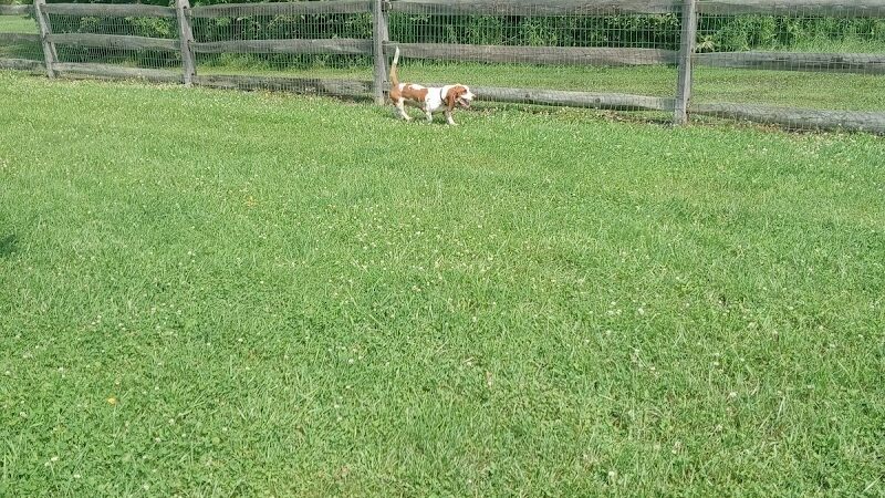 West Branch Dog Park - Ravenna,