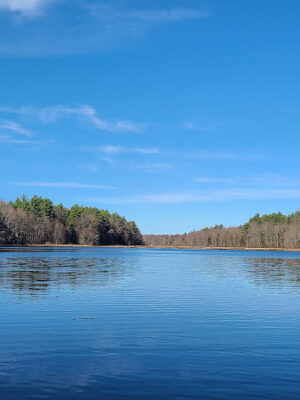 Hewitt's pond reserve