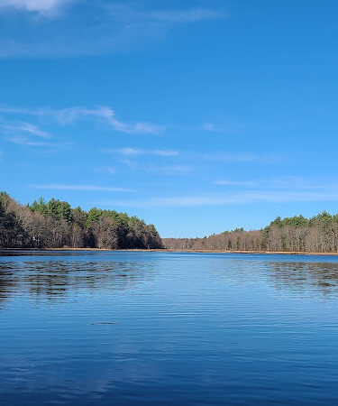 Hewitt's pond reserve