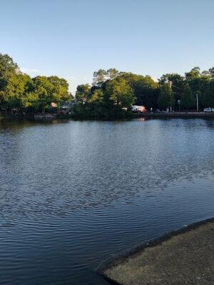 Johnson Pond