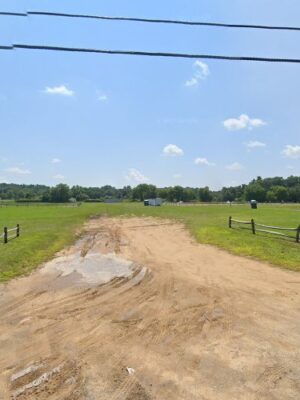 Rozena's Field