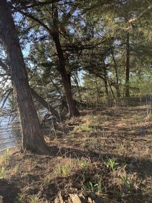 Lyon State Fishing Lake and Wildlife Area