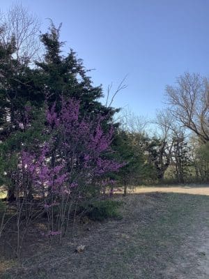 Lyon State Fishing Lake and Wildlife Area
