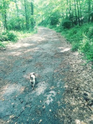 Drexelwood Park
