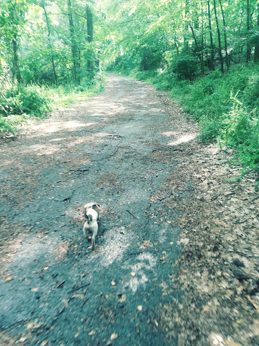 Drexelwood Park