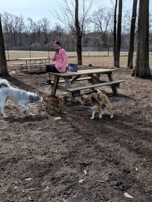 Jim Dietrich Park